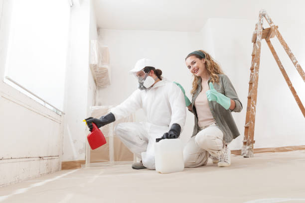 Professional Mold Inspection, Removal & Remediation in Vinton, VA